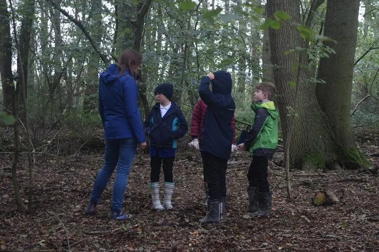 Gallery 6 - image 23