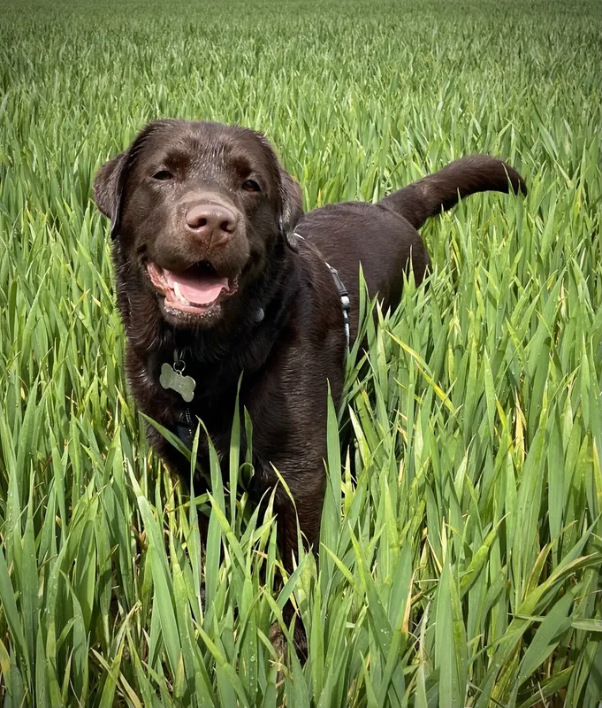 Gallery - created at 2021-06-30 13:57:57 - image 23