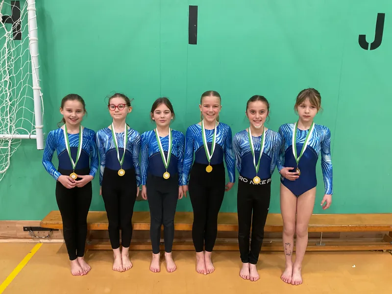 Gymnastics Competition 2026  - image 2