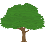 Acorn Class