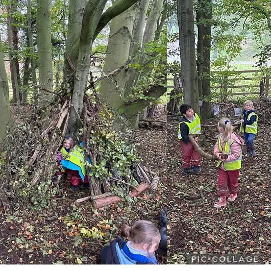 Autumn 2023 - 25th October - Acorns - Den Building and Charcoal Drawings - image 4 Autumn 2023 - 25th October - Acorns - Den Building and Charcoal Drawings - image 4