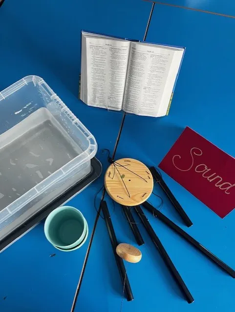 Using Senses - Y5 (24.03.26) - image 2