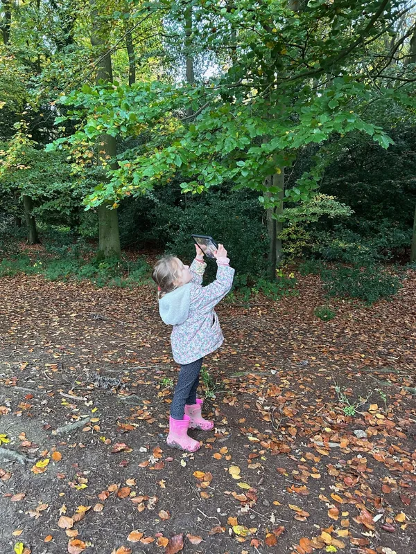 Gallery - created at 2024-11-08 17:23:27 - image 15