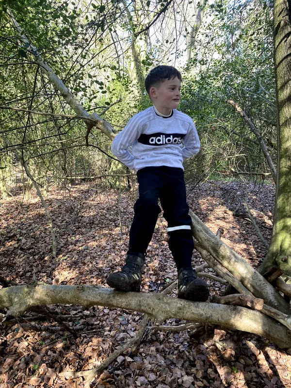 Term 4 Week 4 - image 4