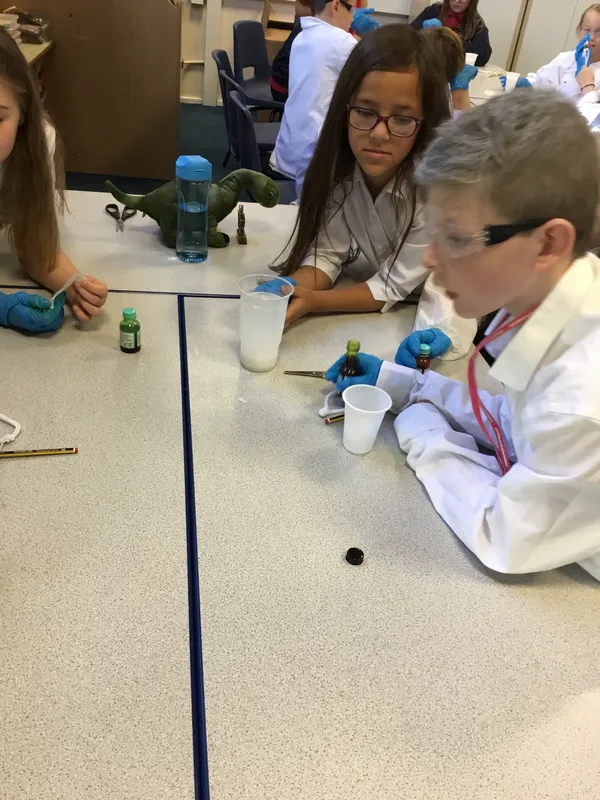 Gallery - created at 2019-09-17 19:22:10 - image 23 Gallery - created at 2019-09-17 19:22:10 - image 23