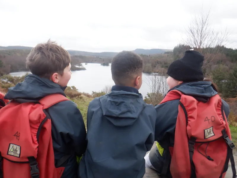 Gallery - created at 2025-02-26 20:19:52 - image 34