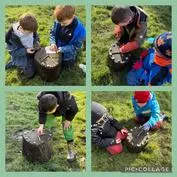 Forest School 16 - image 3 Forest School 16 - image 3