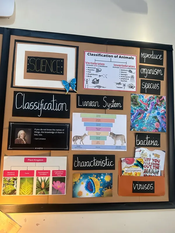 Science 2 - image 13 Science 2 - image 13