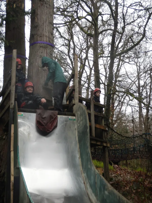 Gallery - created at 2024-02-27 21:54:15 - image 7 Gallery - created at 2024-02-27 21:54:15 - image 7