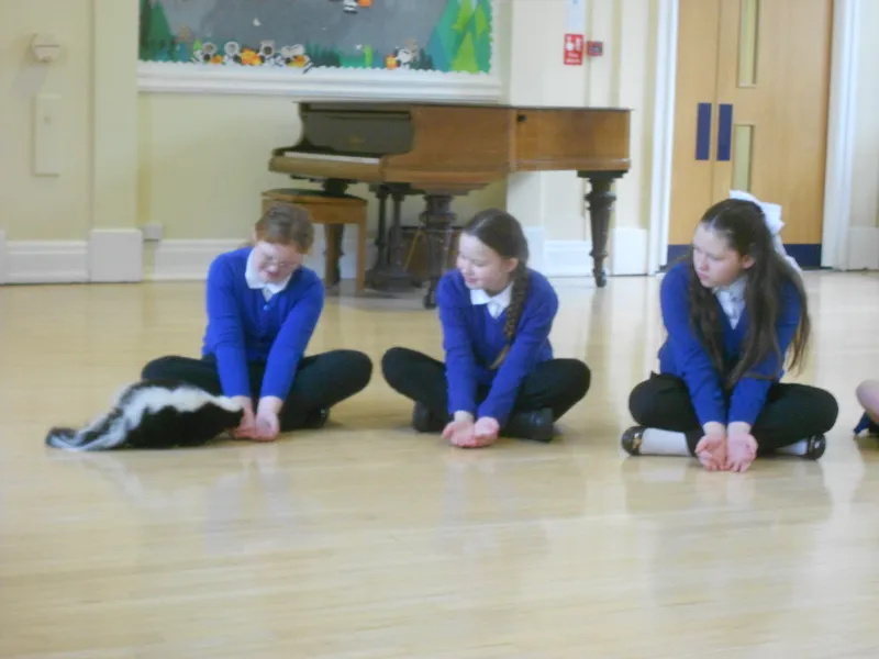 Y6 Reptile Rendezvous - image 88