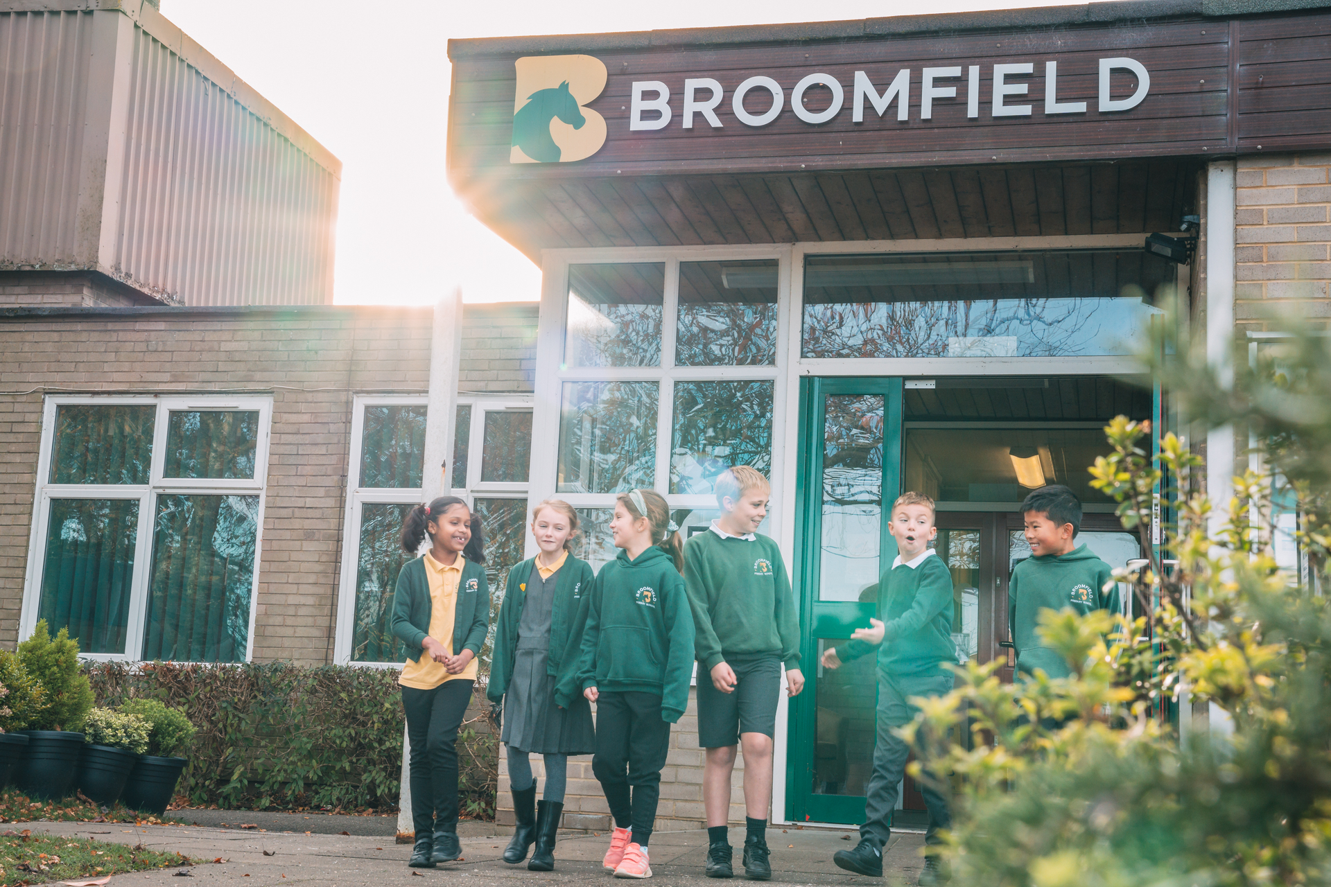 Newsletter 11 21st November 