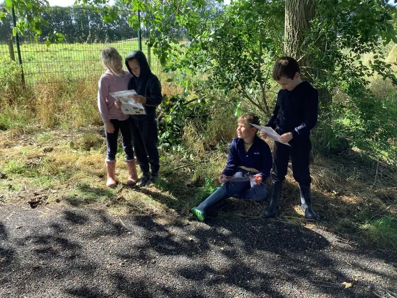 Swallows enjoying their first Forest School session - image 2 Swallows enjoying their first Forest School session - image 2
