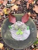 Forest School 117 - image 4 Forest School 117 - image 4