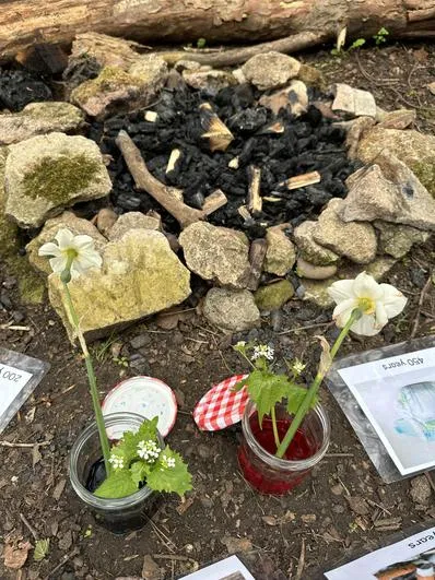 Summer 2024 - 1st May - Saplings - Litter Picking (Our Environment and the 3Rs), How Water is Transported in Plants, Tree Identification and Bark Rubbings - image 2 Summer 2024 - 1st May - Saplings - Litter Picking (Our Environment and the 3Rs), How Water is Transported in Plants, Tree Identification and Bark Rubbings - image 2