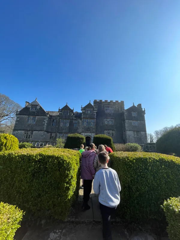 Gallery - created at 2023-05-02 18:29:02 - image 7