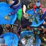 Forest School 58 - image 2 Forest School 58 - image 2