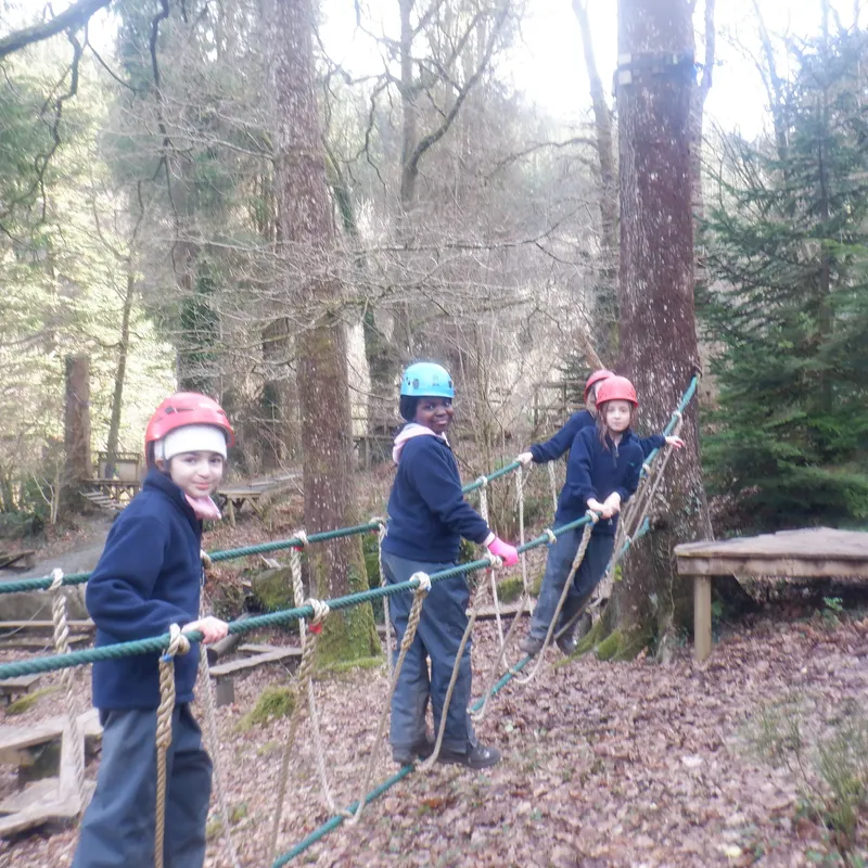 Gallery - created at 2025-02-27 19:57:56 - image 4