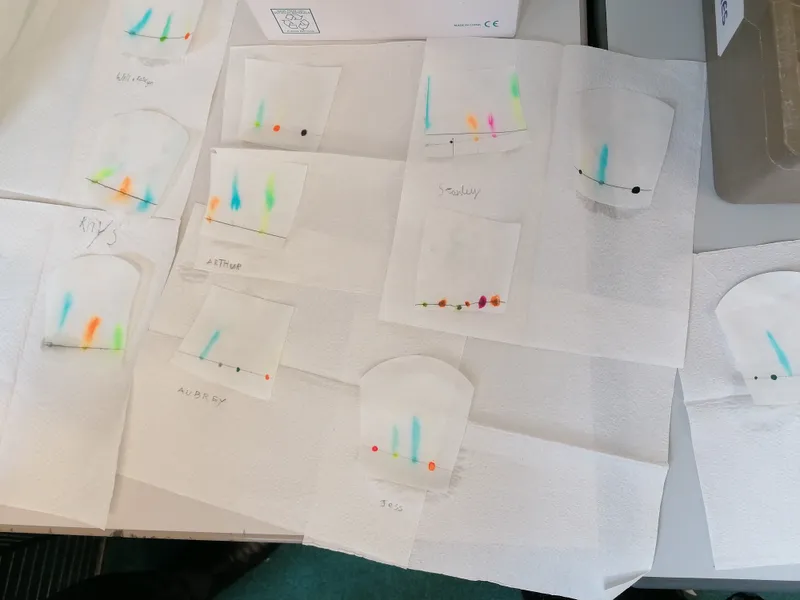 Gallery - created at 2021-03-14 14:39:05 - image 13