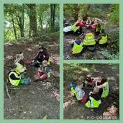 Forest School 31 - image 2 Forest School 31 - image 2