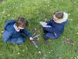 Gallery - created at 2023-01-24 16:02:32 - image 8