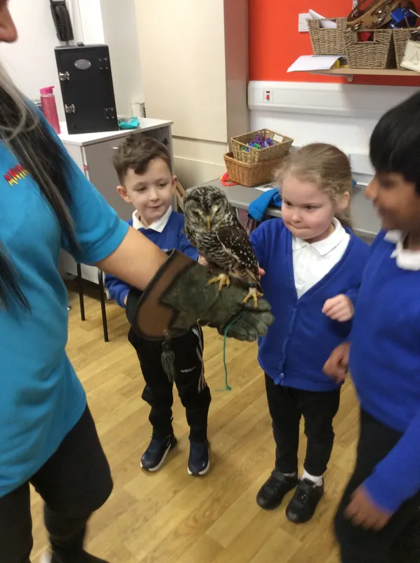 Gallery - created at 2024-02-26 17:15:57 - image 78 Gallery - created at 2024-02-26 17:15:57 - image 78