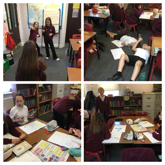 Circulatory System Topic in Y6