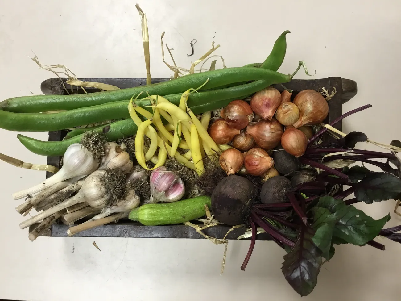 Gallery - created at 2023-09-07 16:46:06 - image 4 Gallery - created at 2023-09-07 16:46:06 - image 4