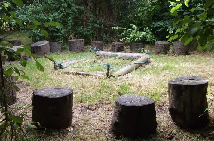 Forest School - image 9