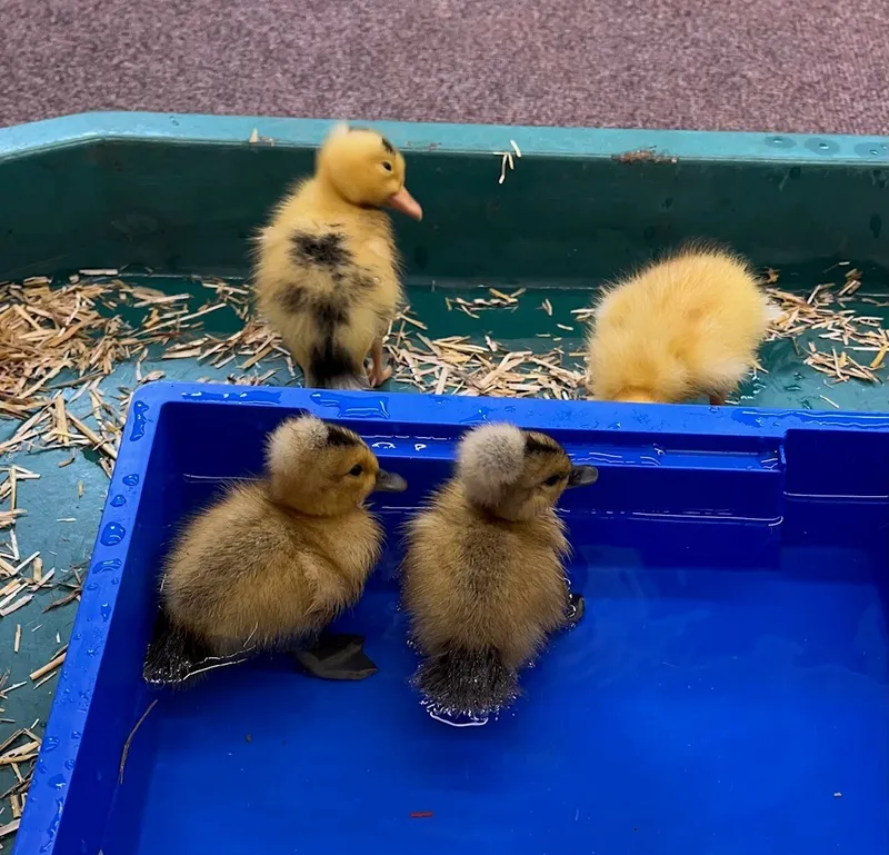 Gallery - created at 2023-05-19 14:08:25 - image 6