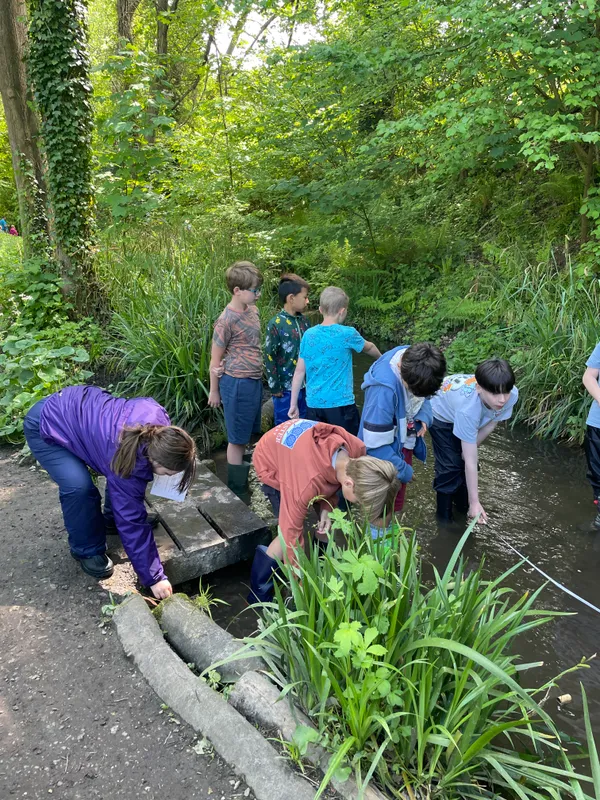 Drews Pond Woods - image 22