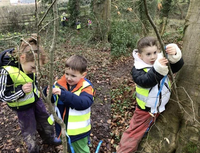 Forest School 43 - image 2 Forest School 43 - image 2