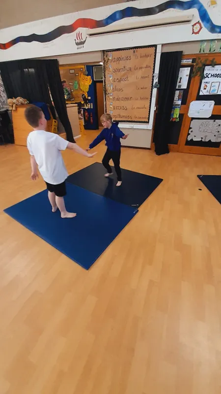 Ospreys have been learning about mirroring and matching in gymnastics - image 5 Ospreys have been learning about mirroring and matching in gymnastics - image 5