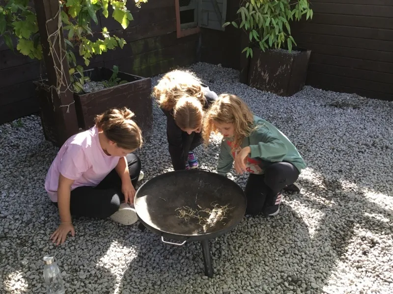 Gallery - created at 2024-09-16 20:10:15 - image 10 Gallery - created at 2024-09-16 20:10:15 - image 10