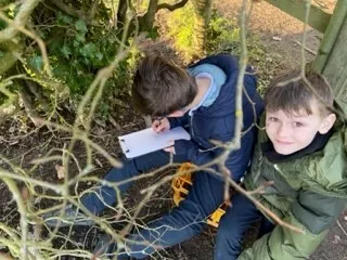 Gallery - created at 2023-01-24 16:02:32 - image 11