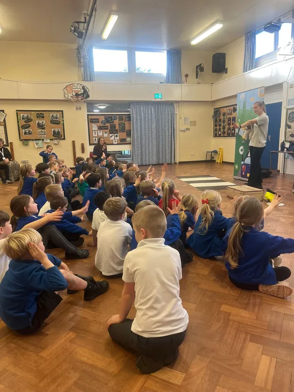 PHSE - image 3 PHSE - image 3