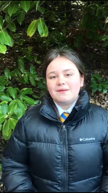 Gallery - created at 2023-01-31 13:05:03 - image 1 Gallery - created at 2023-01-31 13:05:03 - image 1