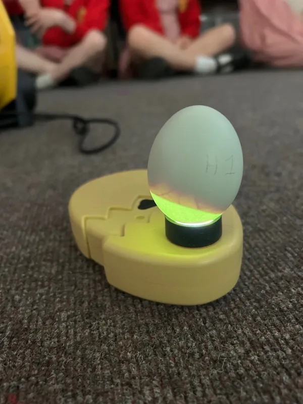 Gallery - created at 2025-05-10 11:28:10 - image 12