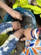 Forest School 65 - image 3 Forest School 65 - image 3