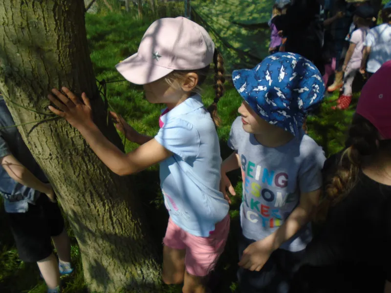 Gallery - created at 2019-06-05 14:08:28 - image 9 Gallery - created at 2019-06-05 14:08:28 - image 9