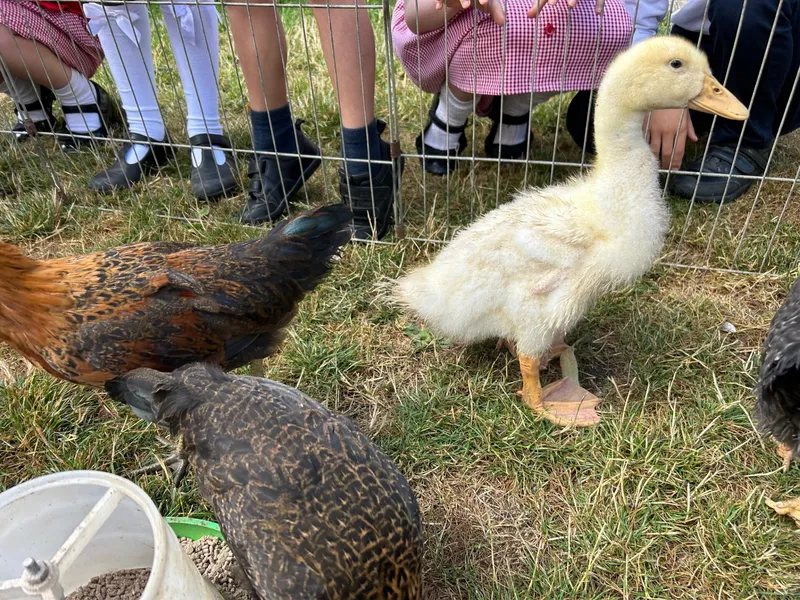 Gallery - created at 2025-07-12 11:34:18 - image 10