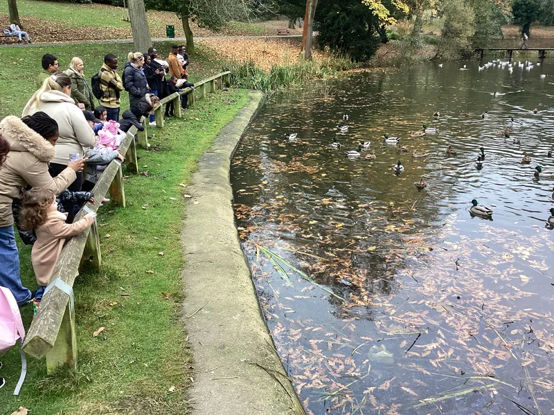 Gallery - created at 2024-11-08 10:10:59 - image 18 Gallery - created at 2024-11-08 10:10:59 - image 18