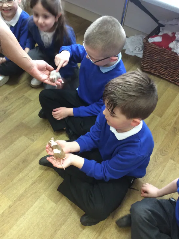 Gallery - created at 2024-03-05 13:52:56 - image 63 Gallery - created at 2024-03-05 13:52:56 - image 63