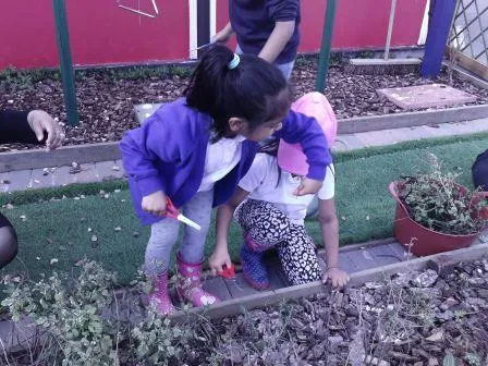 Gallery - created at 2018-01-17 17:01:31 - image 27