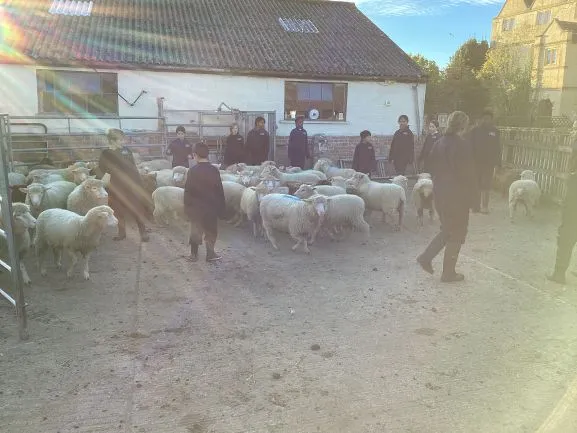 Farm Trip 25 - Gallery 2 - image 7