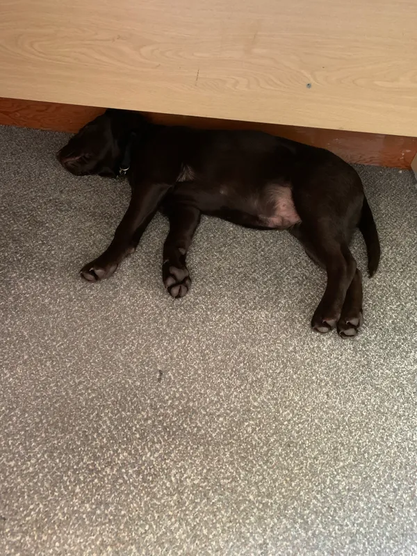 Gallery - created at 2021-06-30 13:57:57 - image 32