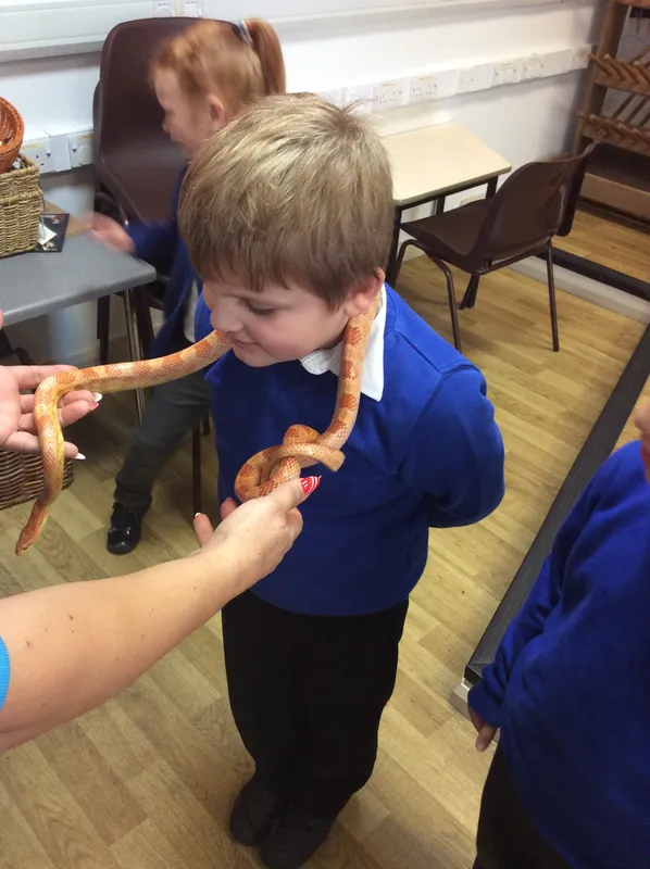 Gallery - created at 2024-03-05 13:52:56 - image 6 Gallery - created at 2024-03-05 13:52:56 - image 6