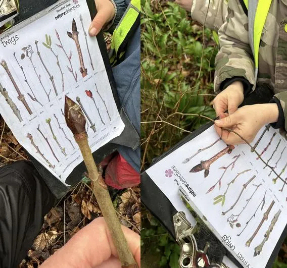 Forest School 43 - image 4 Forest School 43 - image 4