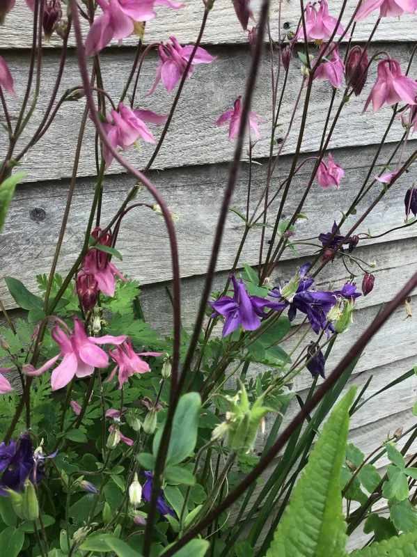 Gallery - created at 2022-12-06 11:29:49 - image 3