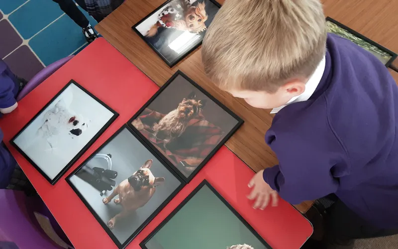 Gallery - created at 2024-09-26 10:17:01 - image 5 Gallery - created at 2024-09-26 10:17:01 - image 5