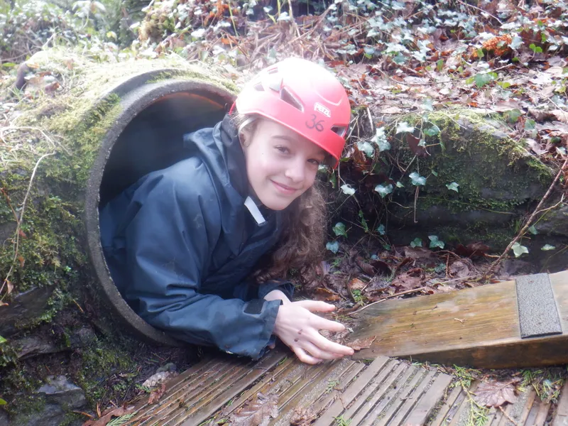 Gallery - created at 2025-02-26 20:19:52 - image 56